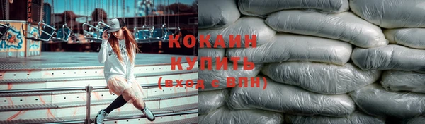 шишки Елизово
