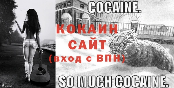 таблы Осинники
