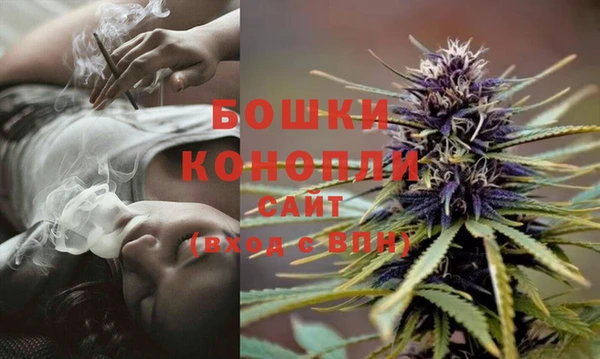 таблы Осинники