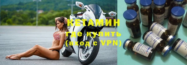 шишки Елизово