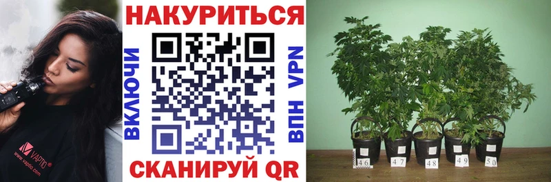 Бошки Шишки White Widow  Приозерск 
